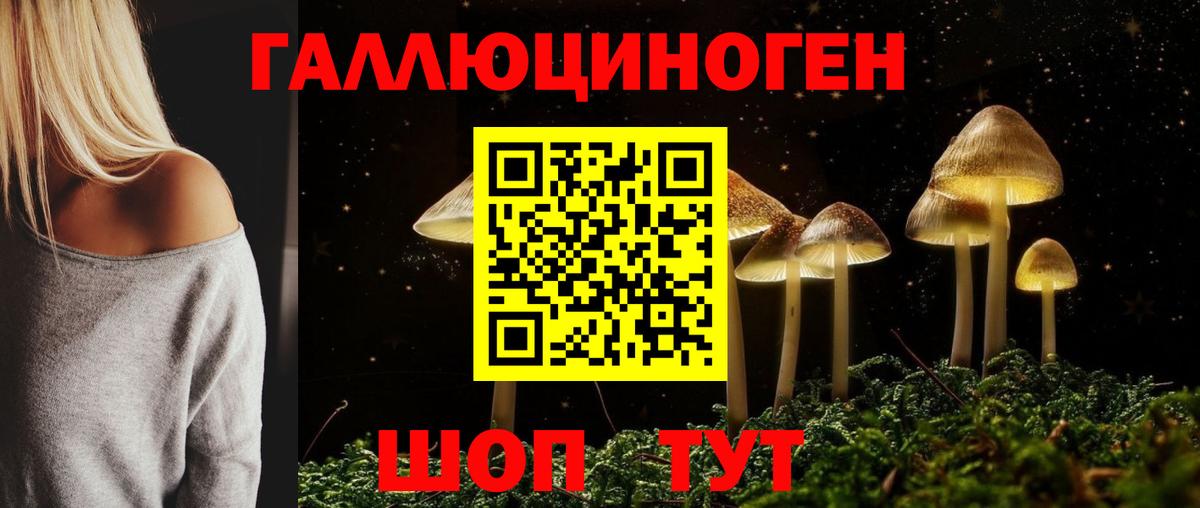 Псилоцибиновые грибы мицелий Ижевск